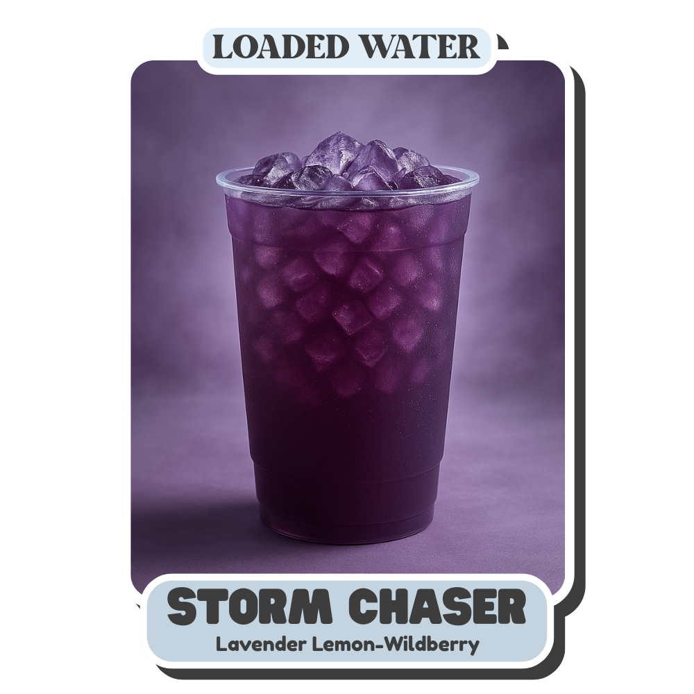 Storm Chaser