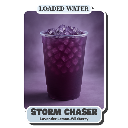 Storm Chaser